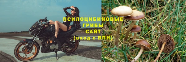 MESCALINE Пролетарск