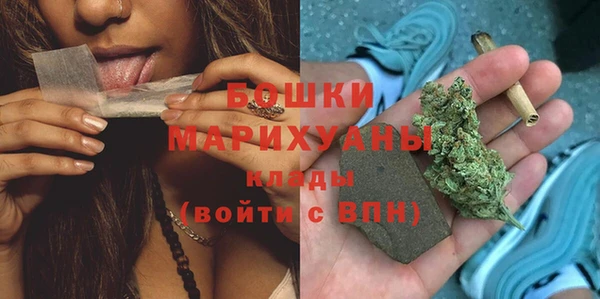 сатива Протвино