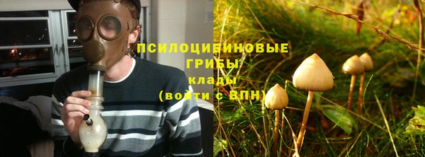 сатива Протвино