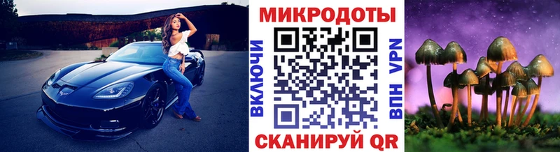 Псилоцибиновые грибы Cubensis  Купить  Апатиты 