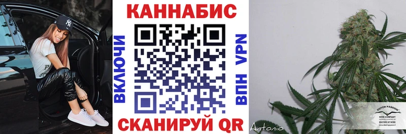 Марихуана сатива  Купить  Апатиты 